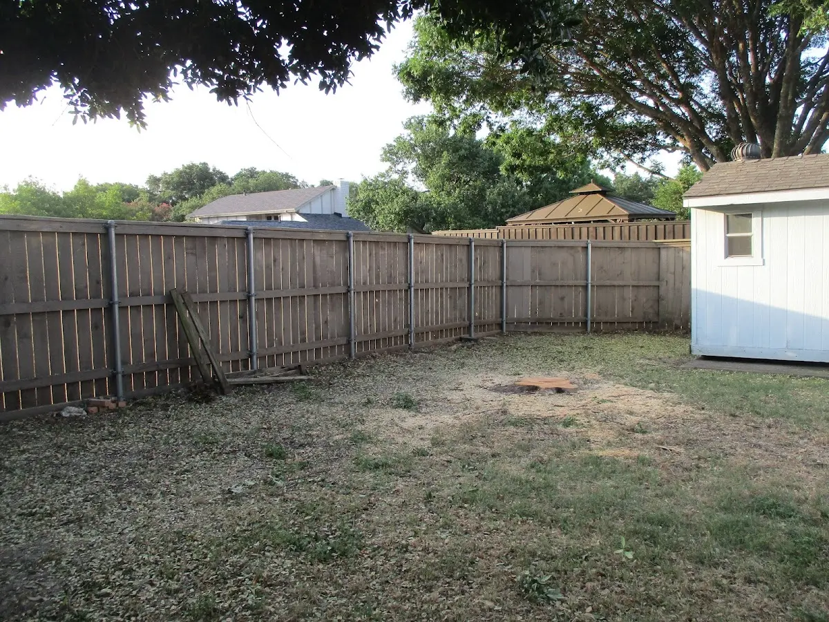Cleared yard after professional tree removal in Girardville