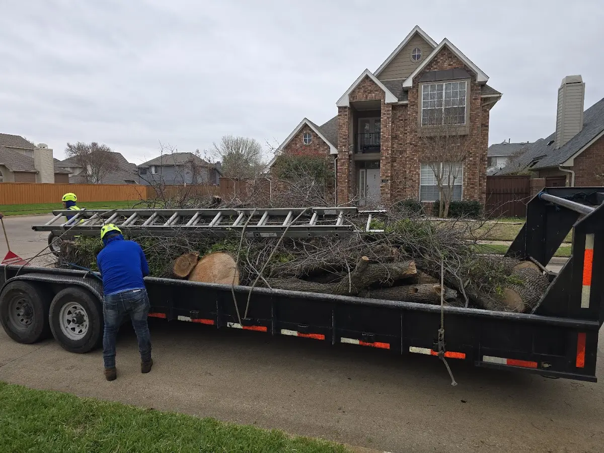 Expert Lot Clearing with proper safety equipment in Girardville